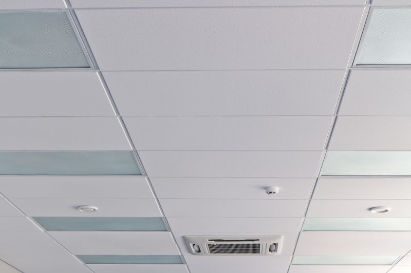 Ceiling Removal Service in Summerville, SC