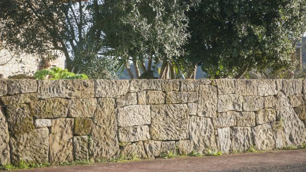 Parapet Wall Repair